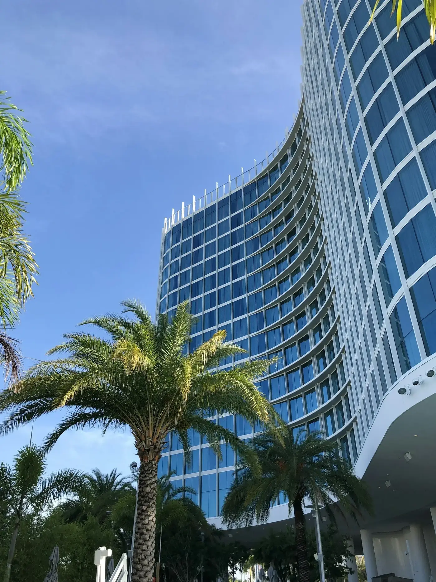 Curved Aventura high-rise viewed through palm trees