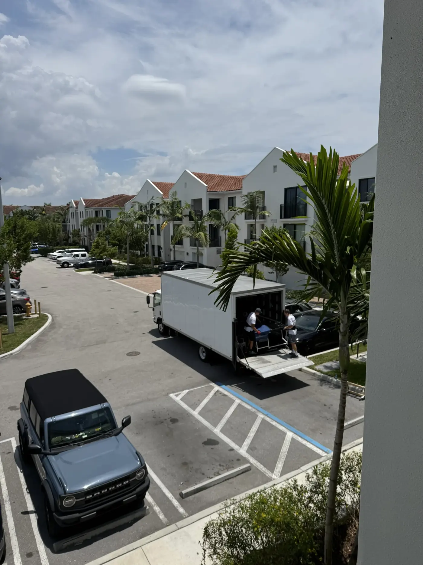 Palm trees and high-rise condo towers along the beach, typical of Miami apartment and condo moves